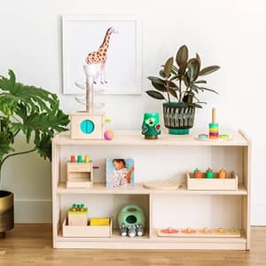 The Montessori Playshelf